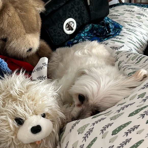 Meet your Posher, Linda - Picture 4 of 4